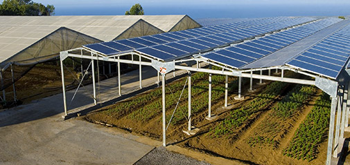 Serre agricole solaire